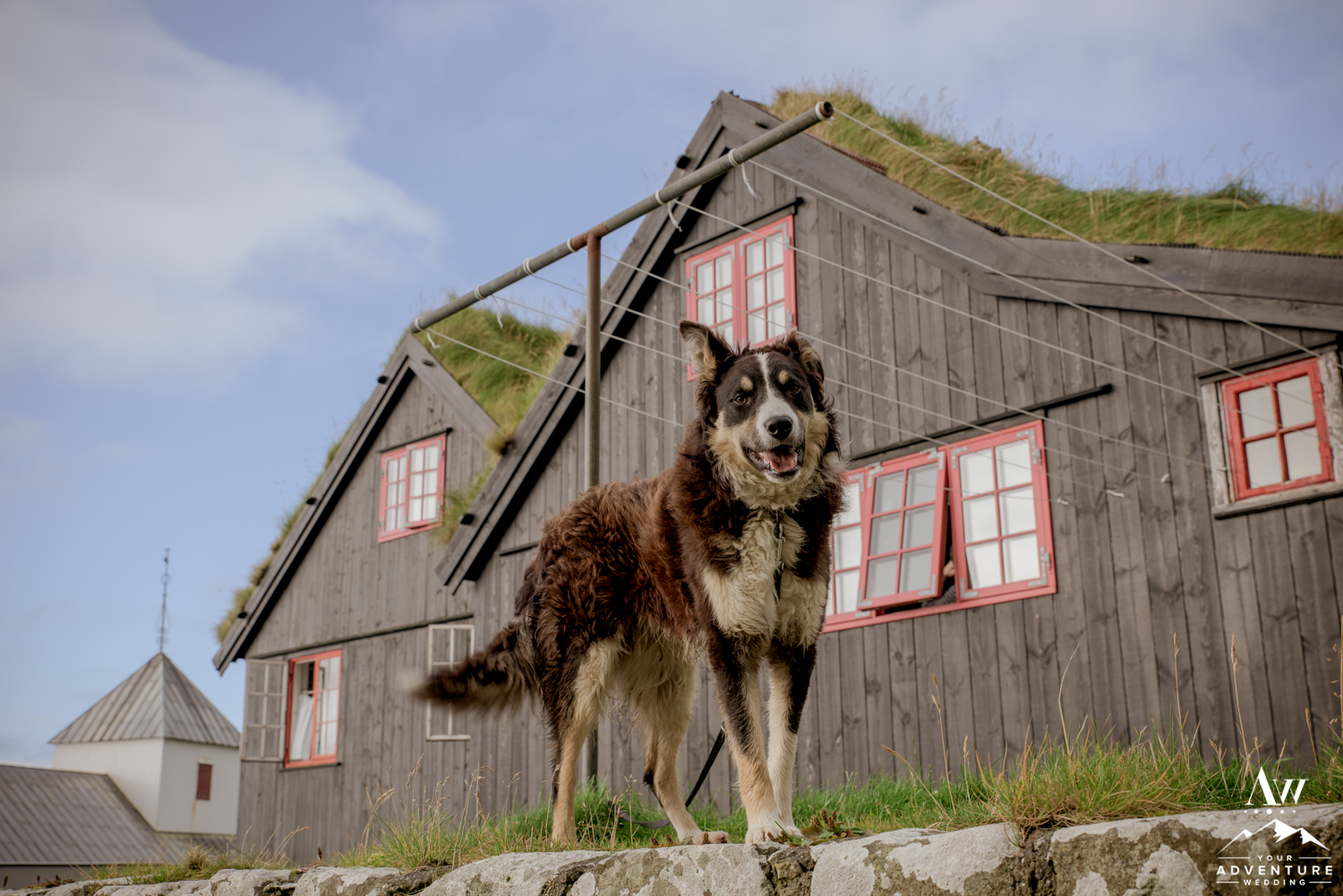 faroe-islands-wedding-photos-your-adventure-wedding-11