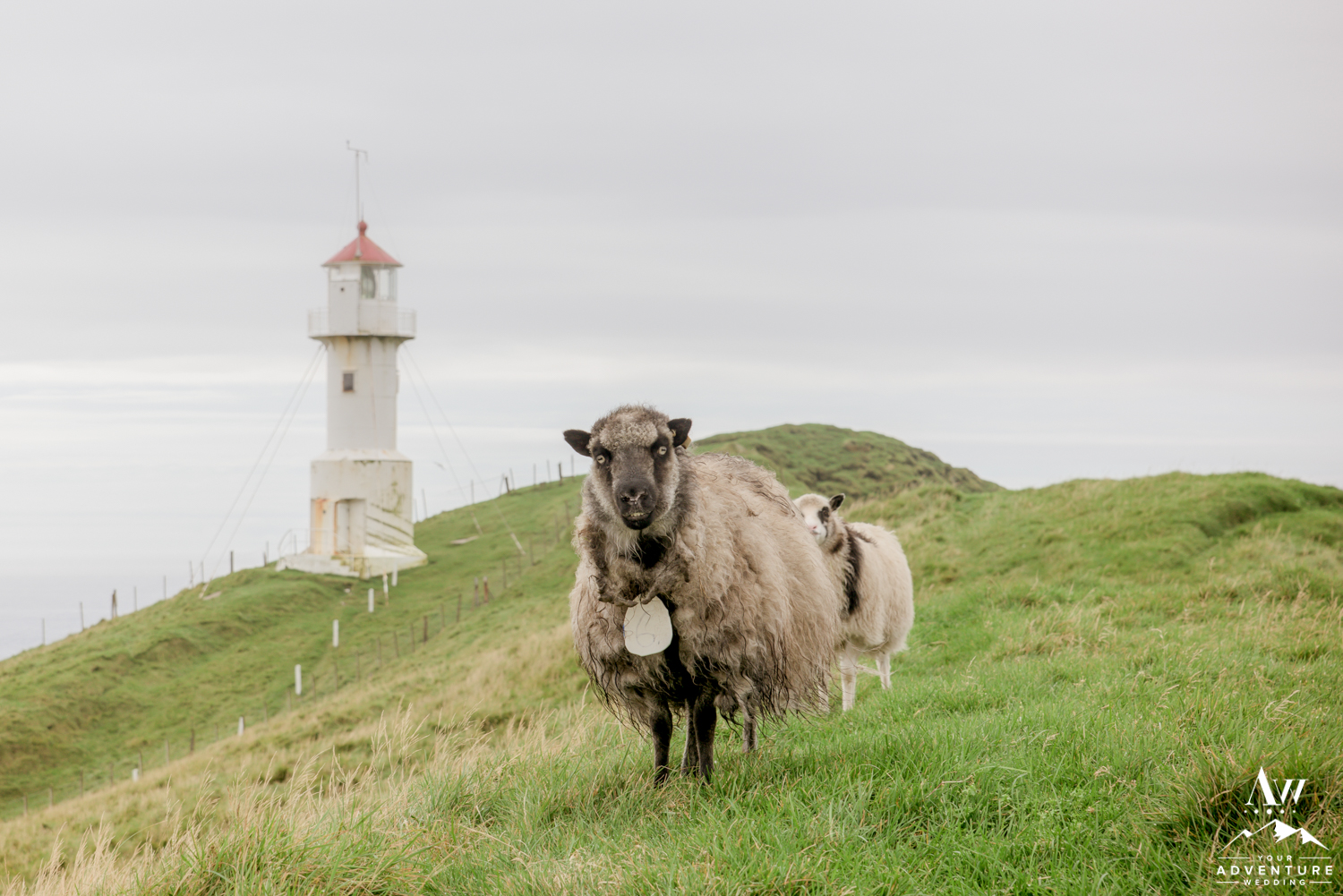 faroe-islands-wedding-photos-your-adventure-wedding-19