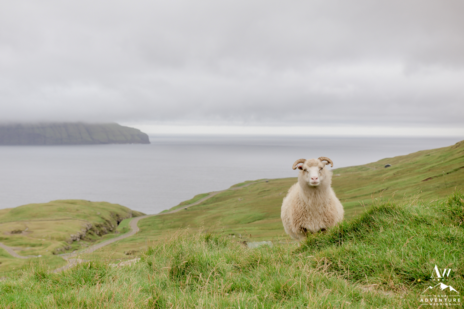 faroe-islands-wedding-photos-your-adventure-wedding-21