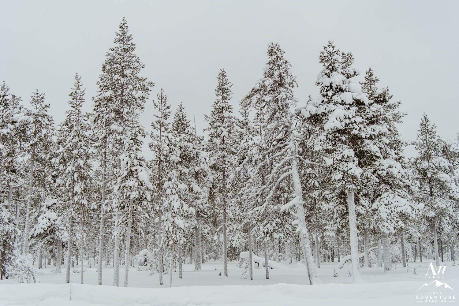 igloo-hotel-wedding-your-adventure-wedding