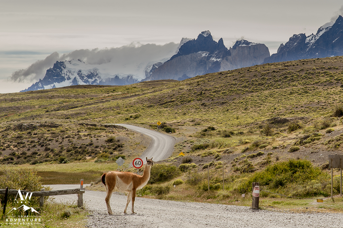 Torres del Paine Patagonia Wedding - Your Adventure Wedding-10