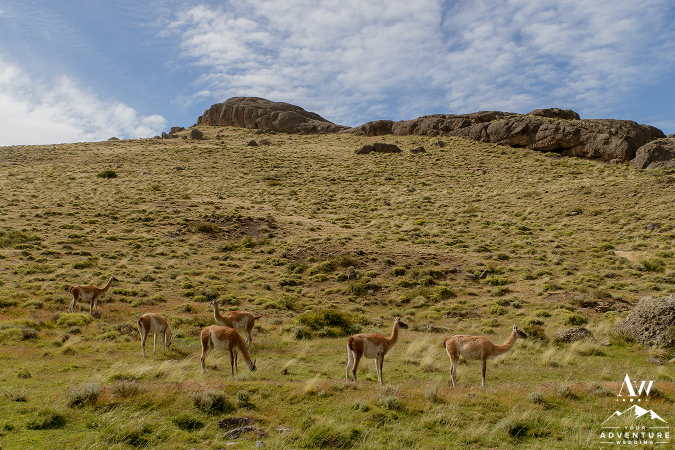 Torres del Paine Wedding Photos - Your Adventure Wedding